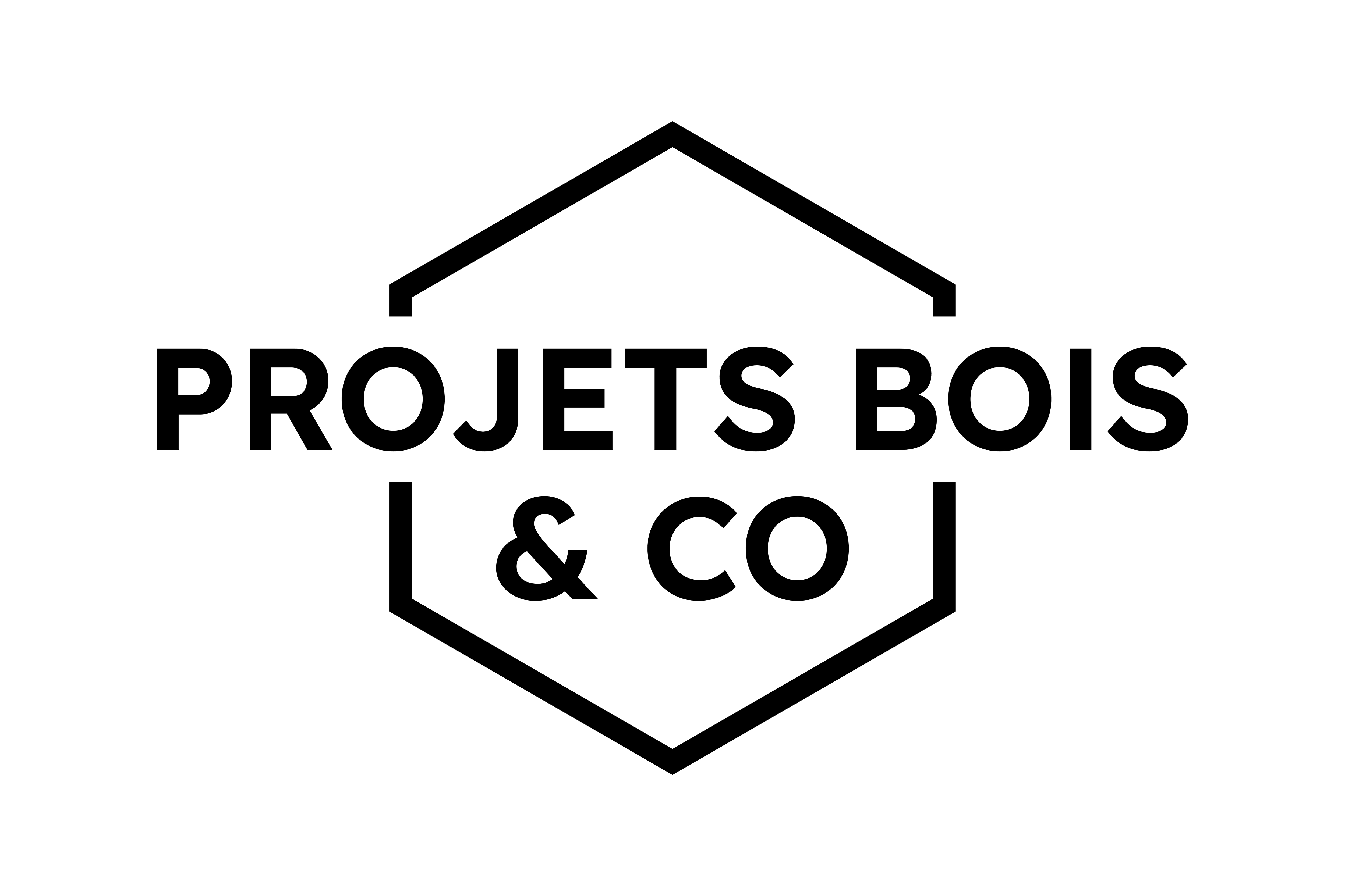 Logo Projets Bois & Co